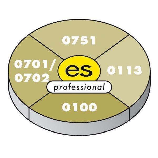 BEHA Software 1316 es control professional Komplett