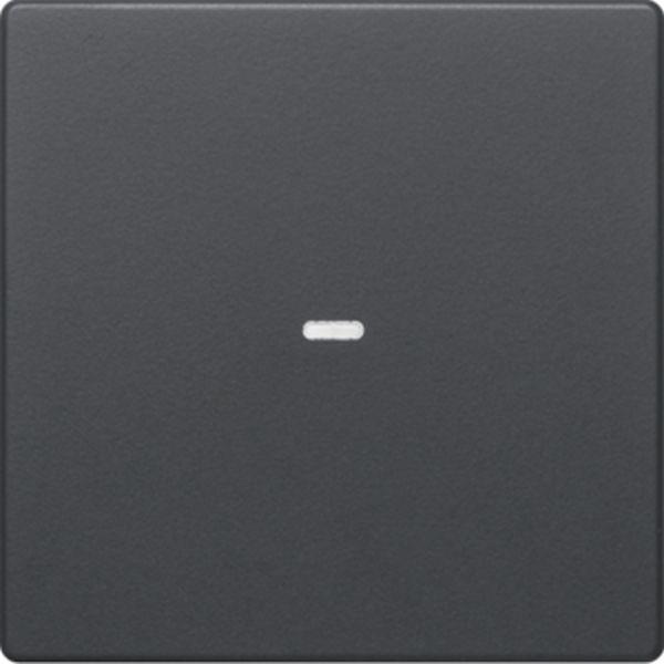 Berker Abdeckung 1f. Tastsen.-Modul Q.x anth