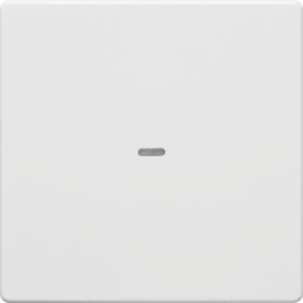 Berker Abdeckung 1f. Tastsen.-Modul Q.x pw