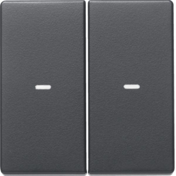 Berker Abdeckung 2f. Tastsen.-Modul Q.x anth