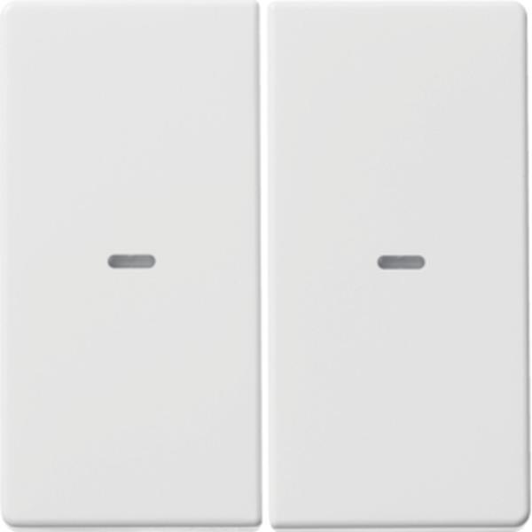 Berker Abdeckung 2f. Tastsen.-Modul Q.x pw