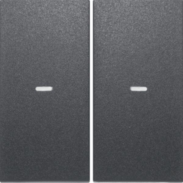Berker Abdeckung 2f. Tastsen.-Modul S/B anth