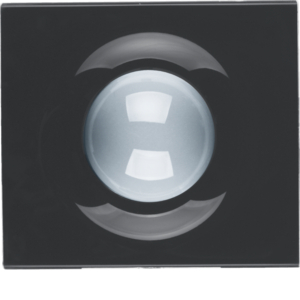 Elcom Video-Modul Ersatz Abdeckung  MODESTA