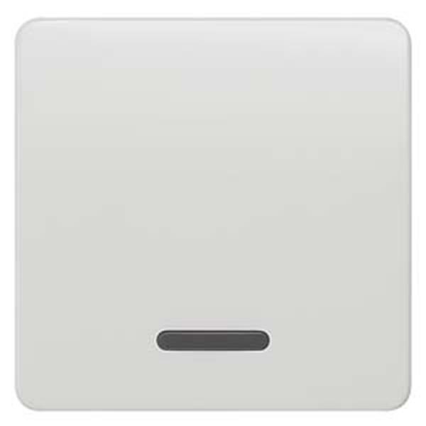 Siemens DELTA profil Wippe mit Fenster für Kontroll-/Aus-/Wechselschalter, titan