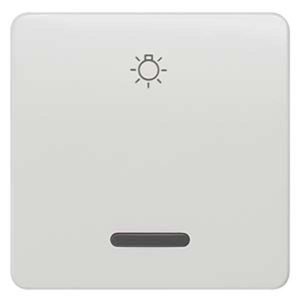 Siemens DELTA profil Wippe mit Fenster und Symbol Licht, titanweiß