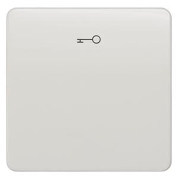 Siemens DELTA profil Wippe mit Symbol Türöffner, titanweiß