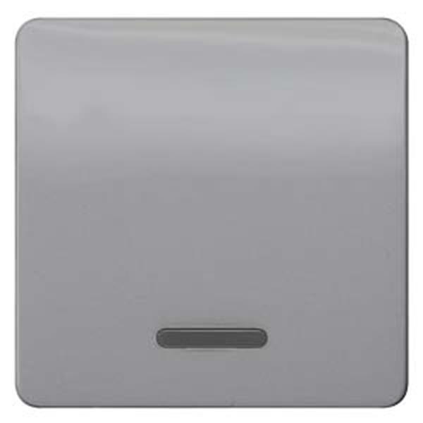 Siemens DELTA profil Wippe mit Fenster für Kontroll-/Aus-/Wechselschalter, silbe