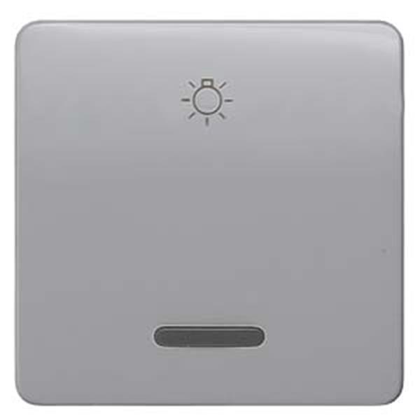 Siemens DELTA profil Wippe mit Fenster und Symbol Licht, silber