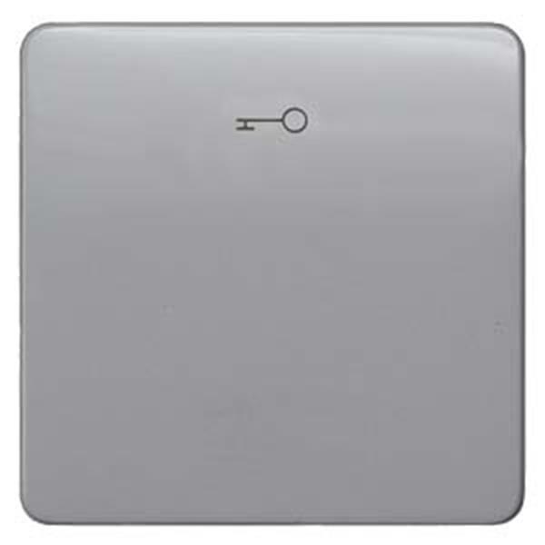 Siemens DELTA profil Wippe mit Symbol Türöffner, silber