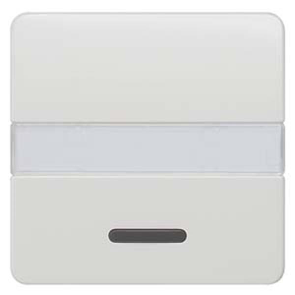 Siemens DELTA profil Wippe mit Fenster und Schriftfeld, titanweiß