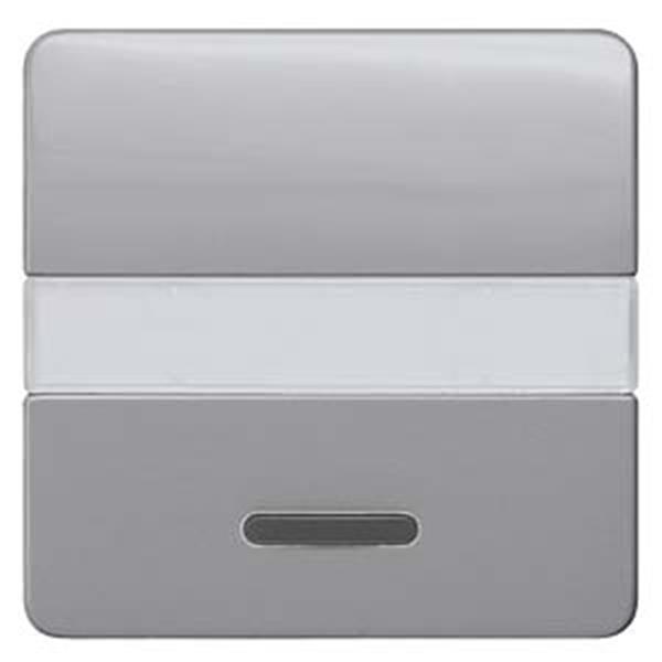 Siemens DELTA profil Wippe mit Fenster und Schriftfeld, silber