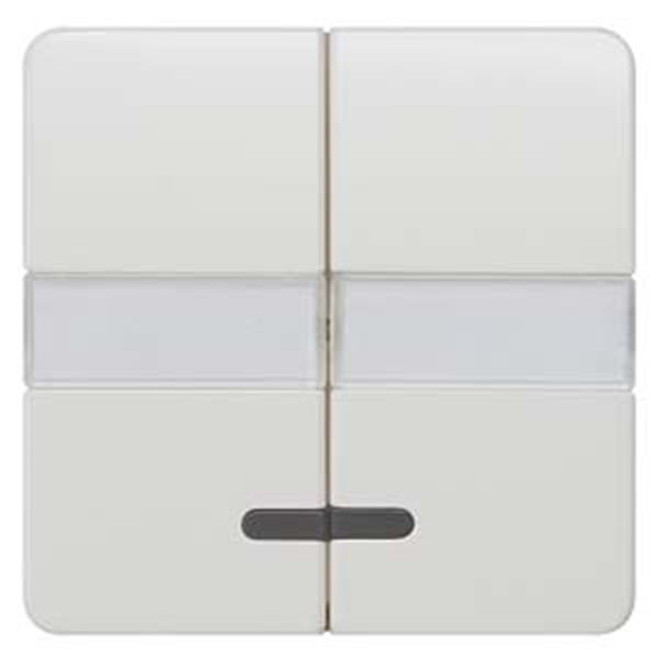 Siemens DELTA profil Wippe 2-fach mit Fenster und Schriftfeld, titanweiß