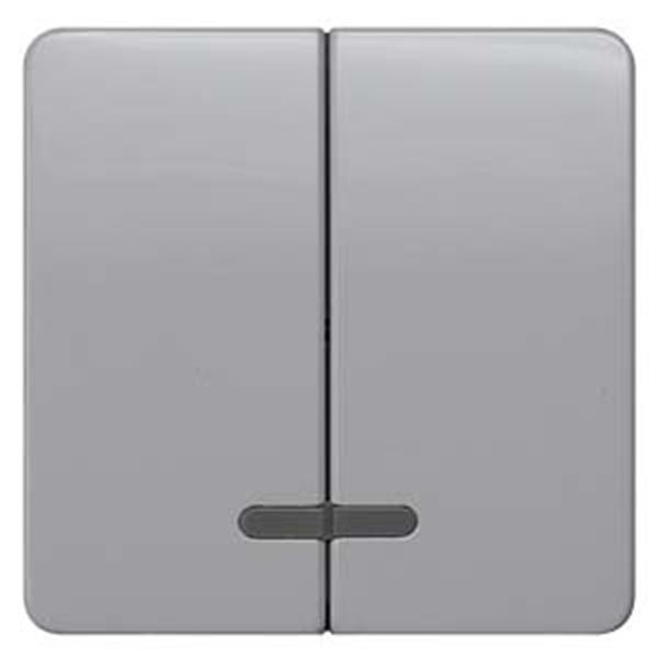 Siemens DELTA profil Wippe 2-fach mit Fenster für Serienschalter, silber