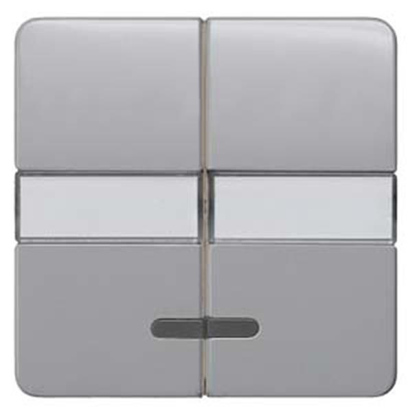 Siemens DELTA profil Wippe mit Fenster und Schriftfeld, platinmetallic