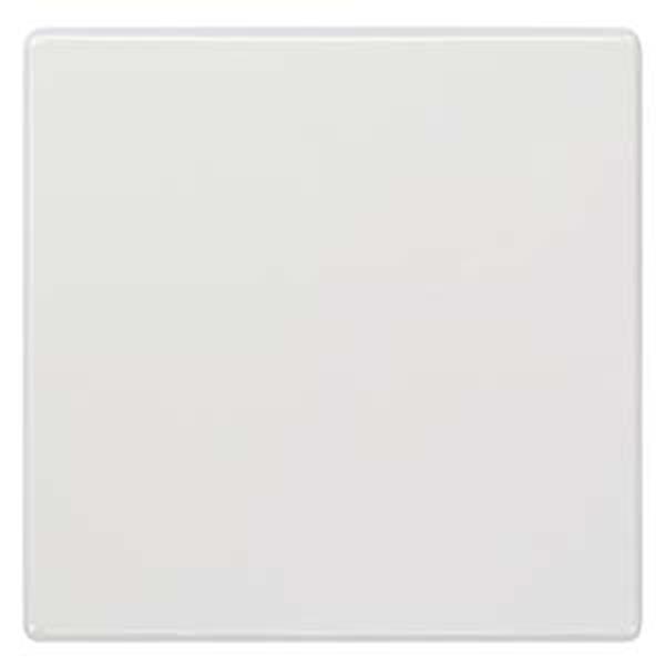 Siemens DELTA style Wippe neutral, titanweiß