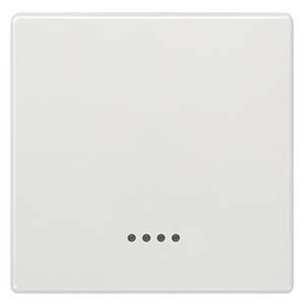 Siemens DELTA style Wippe mit Fenster, titanweiß