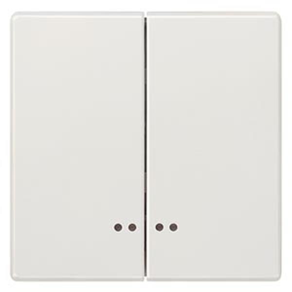 Siemens DELTA style Wippe 2-fach mit Fenster für Serienschalter, titanweiß