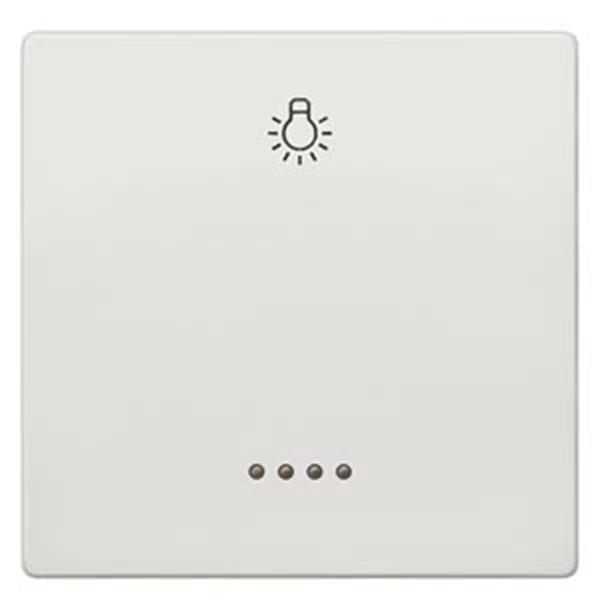 Siemens DELTA style Wippe mit Fenster und Symbol Licht, titanweiß