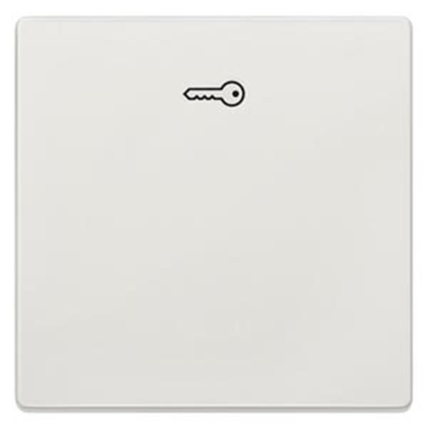 Siemens DELTA style Wippe mit Symbol Türöffner, titanweiß