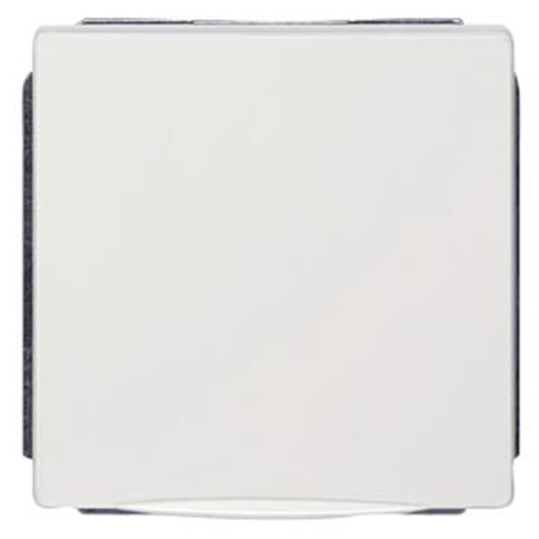 Siemens DELTA style SCHUKO-Steckdose mit Klappdeckel, titanweiß