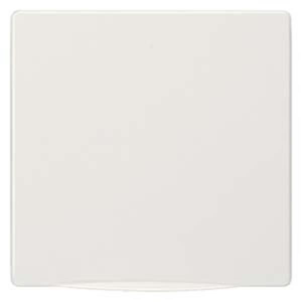 Siemens DELTA style Abdeckplatte mit Klappdeckel zur Umrüstung von Steckdosen, t