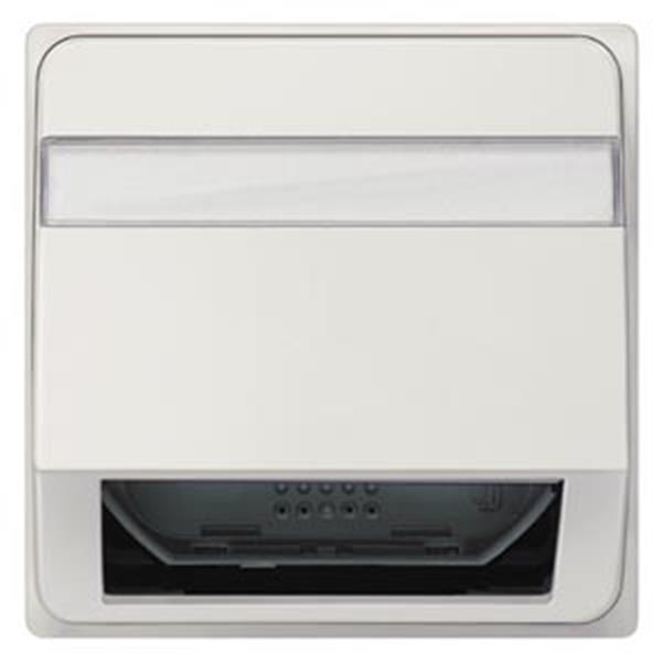 Siemens DELTA style Schrägauslass für LWL-Montageplatten mit Schriftfeld, titanw