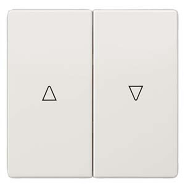 Siemens DELTA style Wippe 2-fach mit Jalousiesymbolen Auf/Ab, titanweiß