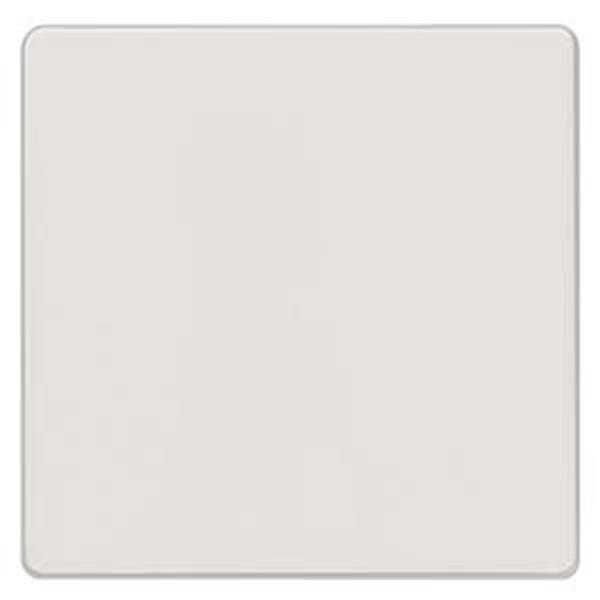 Siemens DELTA i-system Wippe neutral, titanweiß