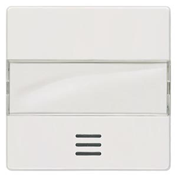 Siemens DELTA i-system Wippe mit Fenster und Schriftfeld, titanweiß