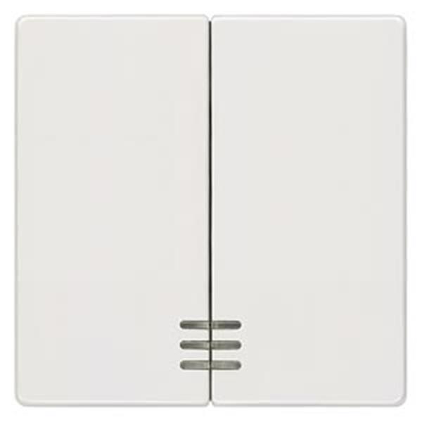 Siemens DELTA i-system Wippe 2-fach mit Fenster für Serienschalter, titanweiß