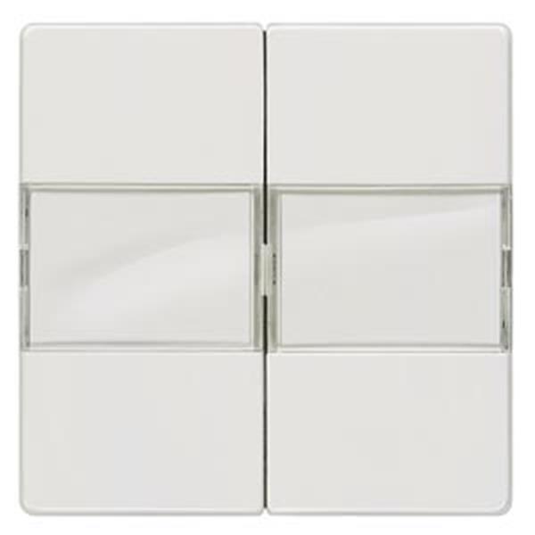 Siemens DELTA i-system Wippe 2-fach mit Schriftfeld für Serienschalter, titanwei