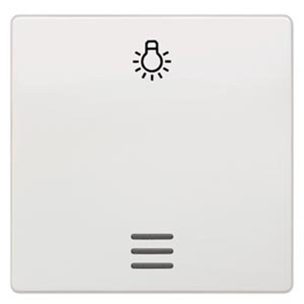 Siemens DELTA i-system Wippe mit Fenster und Symbol Licht, titanweiß