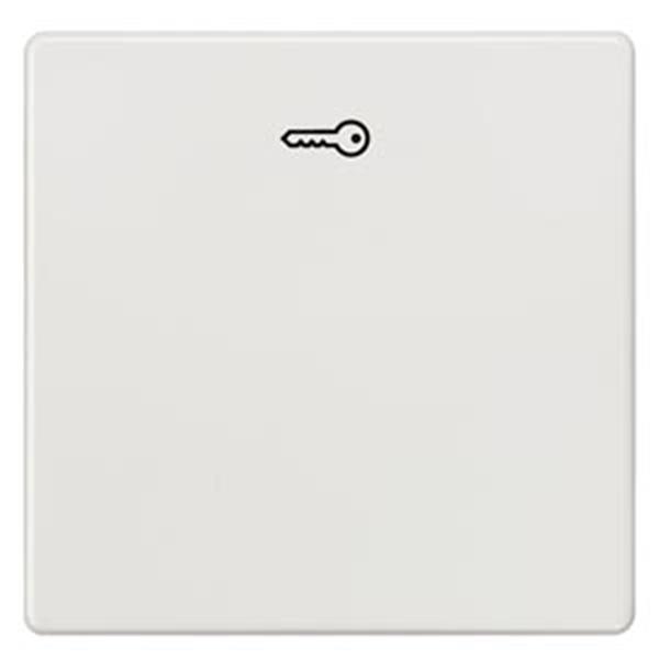 Siemens DELTA i-system Wippe mit Symbol Türöffner, titanweiß