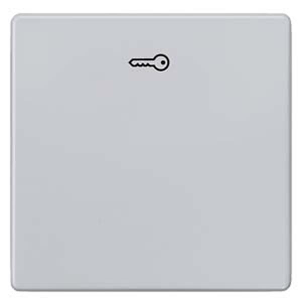 Siemens DELTA i-system Wippe mit Symbol Türöffner, aluminiummetallic