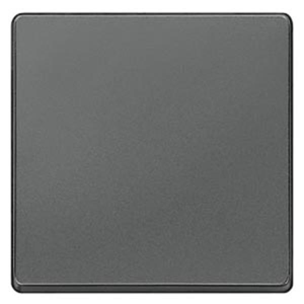 Siemens DELTA i-system Wippe neutral, carbonmetallic