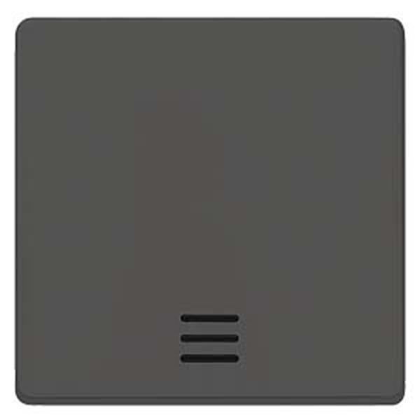 Siemens DELTA i-system Wippe mit Fenster für Kontroll-/Aus-/Wechselschalter, car