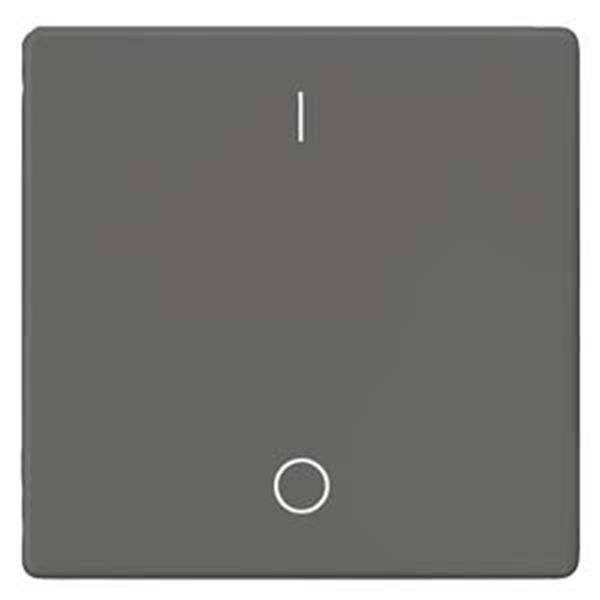 Siemens DELTA i-system Wippe mit Symbolen I/O für Ausschalter, carbonmetallic