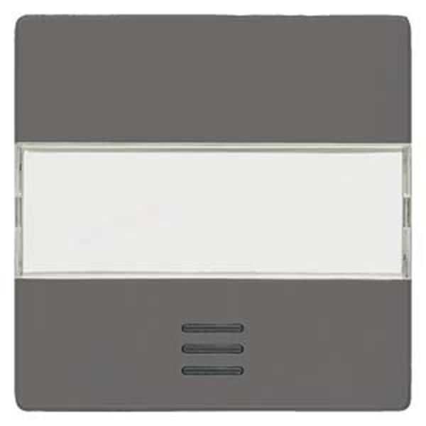 Siemens DELTA i-system Wippe mit Fenster und Schriftfeld, carbonmetallic