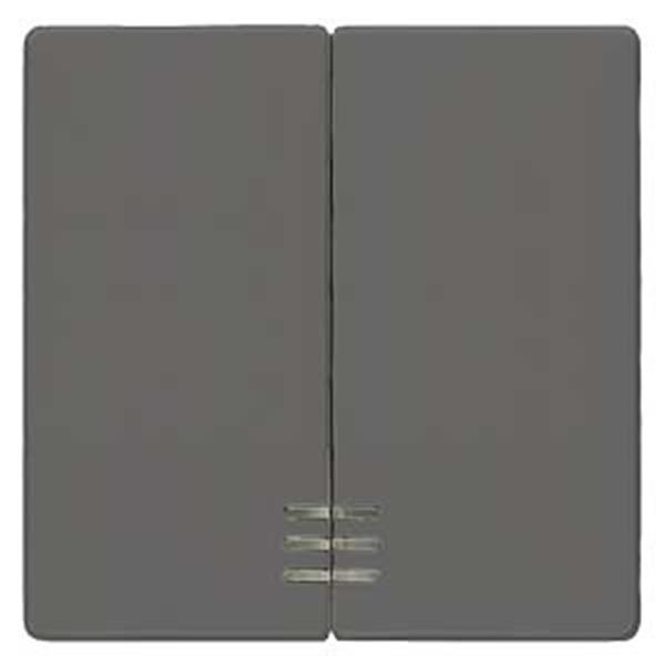 Siemens DELTA i-system Wippe 2-fach mit Fenster für Serienschalter, carbonmetall