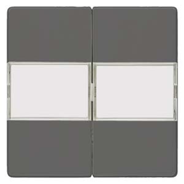 Siemens DELTA i-system Wippe 2-fach mit Schriftfeld für Serienschalter, carbonme