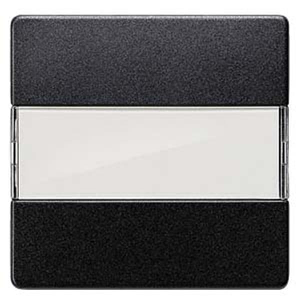 Siemens DELTA i-system Wippe mit Schriftfeld, carbonmetallic