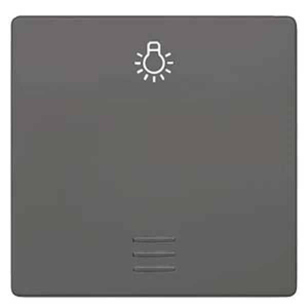 Siemens DELTA i-system Wippe mit Fenster und Symbol Licht, carbonmetallic