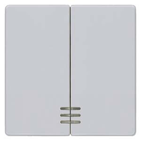 Siemens DELTA i-system Wippe 2-fach mit Fenster für Serienschalter, aluminiummet