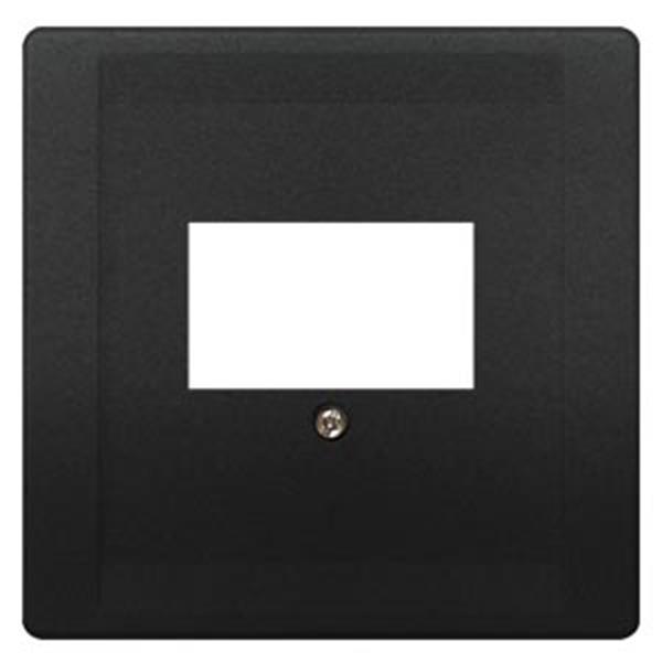 Siemens DELTA style Abdeckplatte für TAE-/Lautsprecher- Multimediaanschlüsse, an