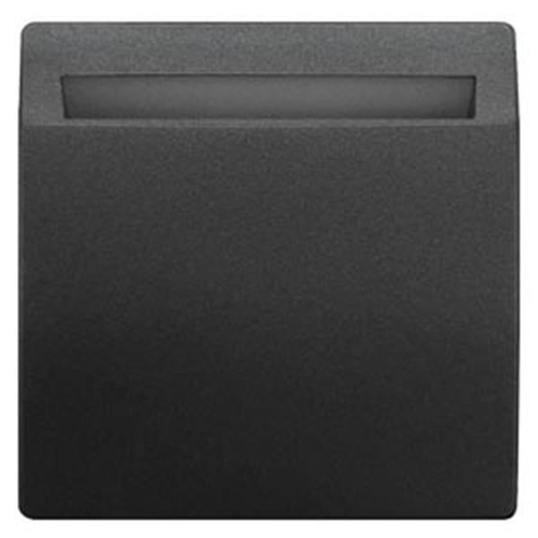 Siemens DELTA style Hotelcard-Schalter beleuchtet mit Fenster und Schriftfeld, a