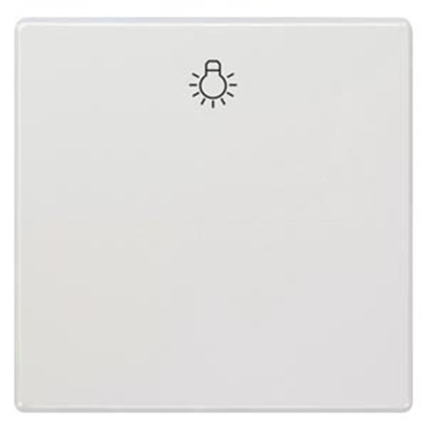 Siemens DELTA style Wippe mit Symbol Licht, titanweiß