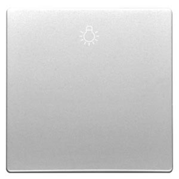 Siemens DELTA style Wippe mit Symbol Licht, platinmetallic