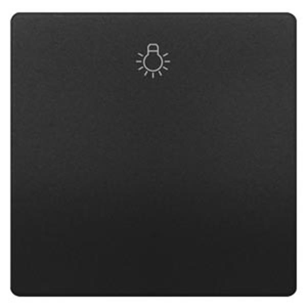 Siemens DELTA style Wippe mit Symbol Licht, anthrazit