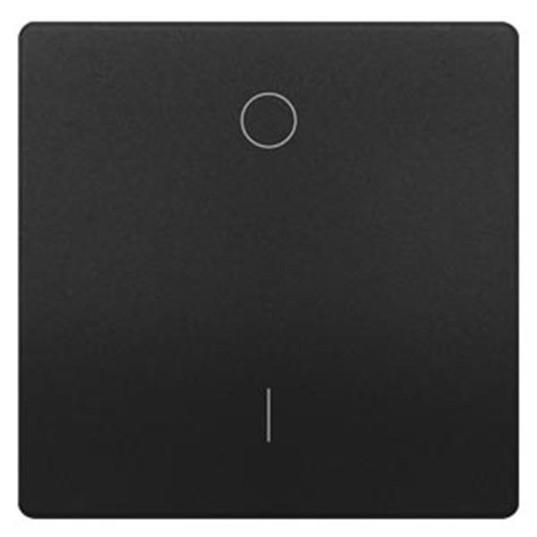 Siemens DELTA style Wippe mit Symbolen I/O für Ausschalter, anthrazit