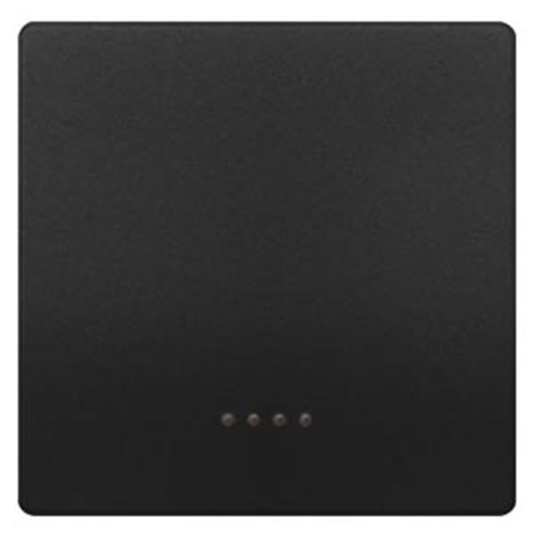 Siemens DELTA style Wippe mit Fenster für Kontroll-/Aus-/Wechselschalter, anthra